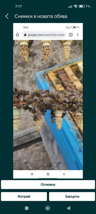 Кошери и отводки