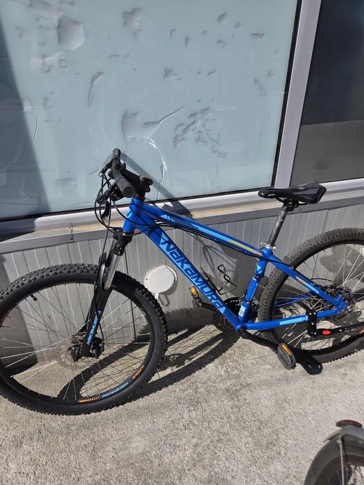 Vand biciclete import Germania