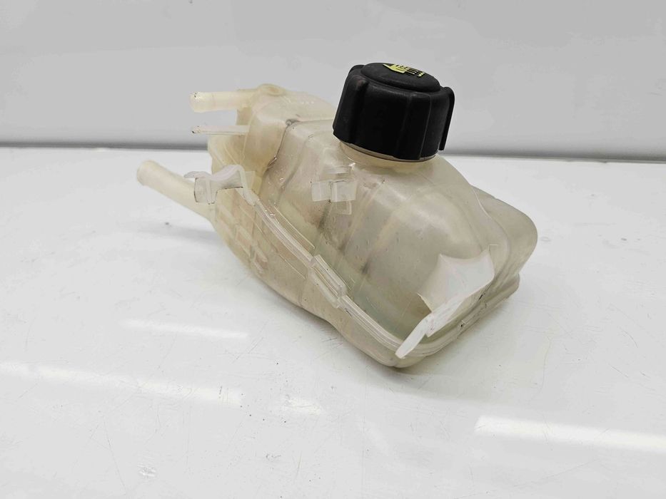 Vas expansiune Renault Megane 3 (B95) [Fabr 2008-2016] 217100005R