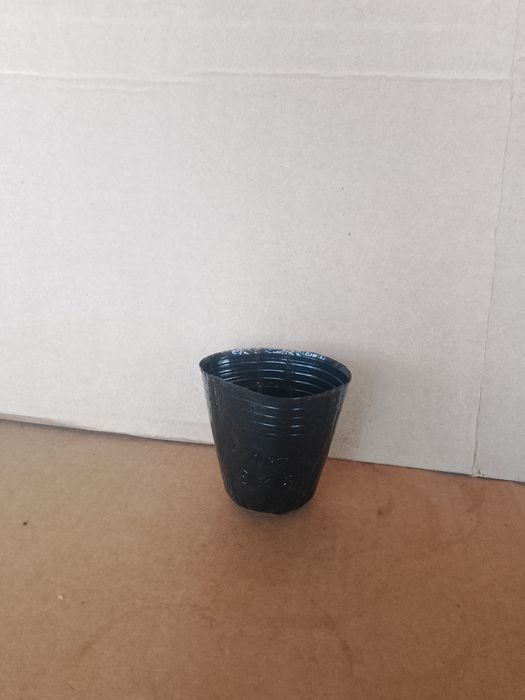 Kalish stakanchik razmeri 8x8 12x13 15x15 18x18 razmeri bor optm narxd