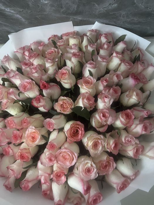 101роза Метровые