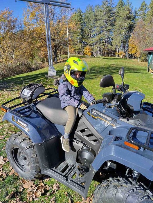 Kawasaki Brute Force 450