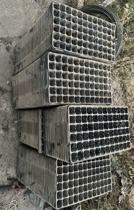 кассеты для рассады