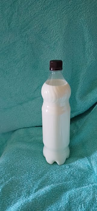 Продам козье молоко