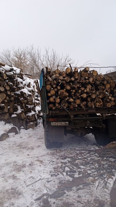 Продам дрова карагач