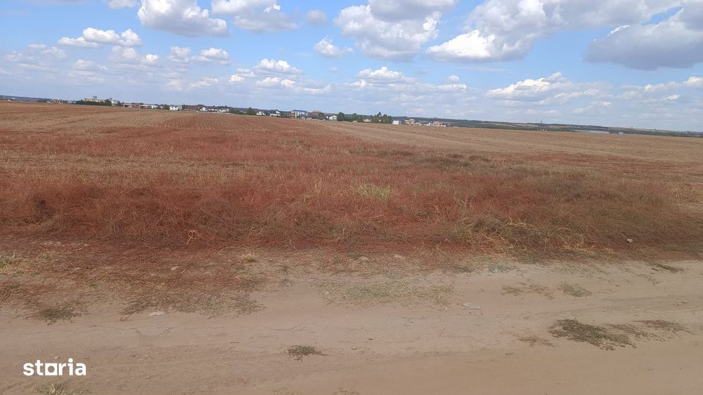 Teren intravilan, 7000 mp, zona Preajba noua-Damila