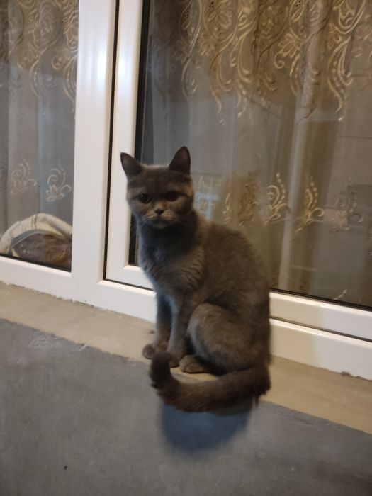 Qishloq fohishalar porno video