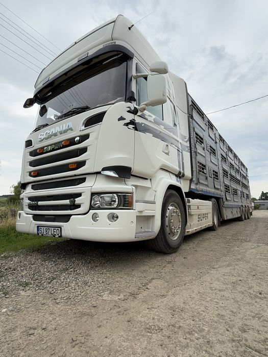 Transport animale vii