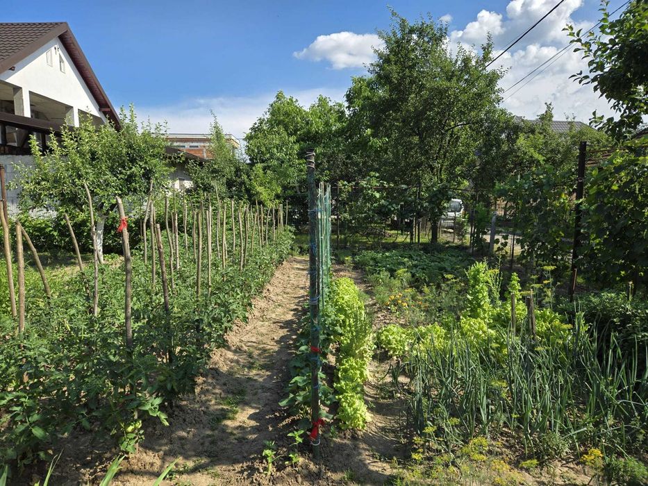 Casă de vânzare Recea Maramureș