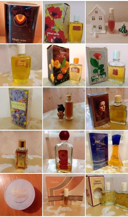 Роза амбра Камелия  Дзинтарс Цветы Украины