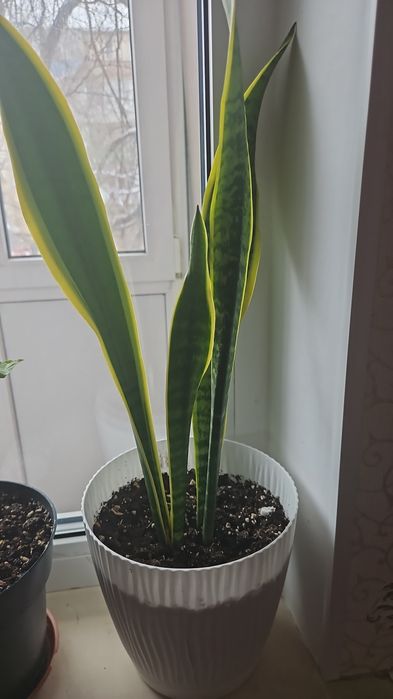 По 3тыс. тенге, продам