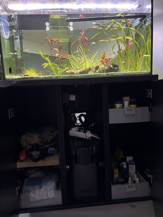 Vand acvariu 250l cu accesorii