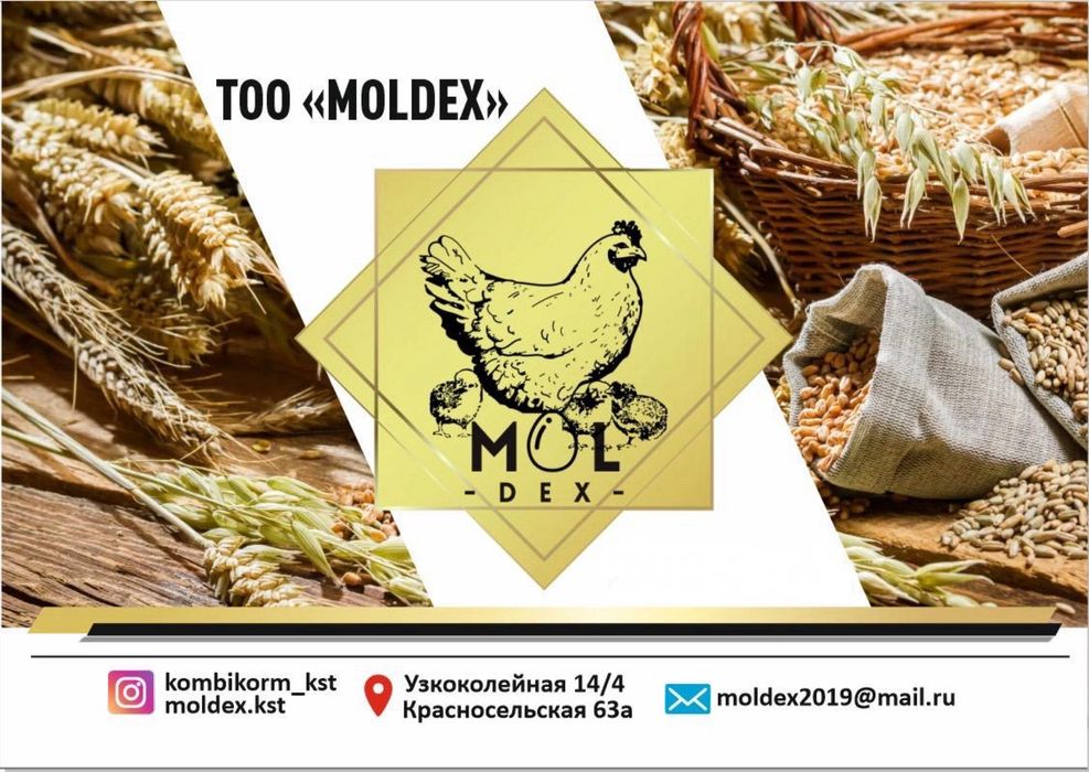 Курочка отборная