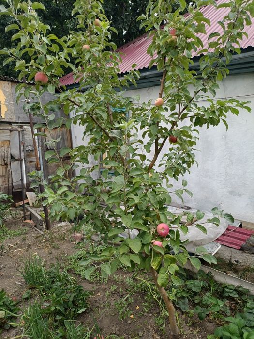 Продам дом пос.Красина