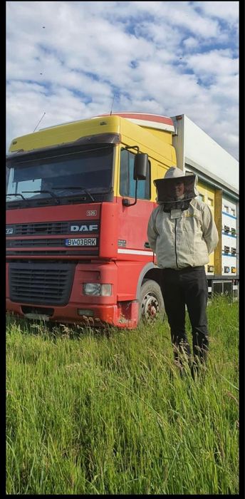 Miere de albine-direct de la producator