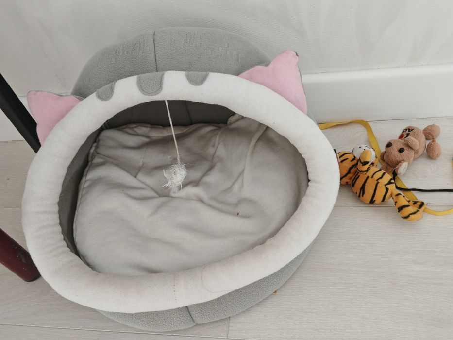 Кошачьи принадлежности