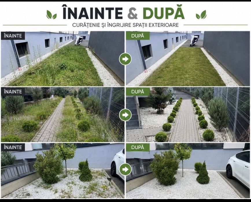Servicii profesionale de curatenie la domiciliu