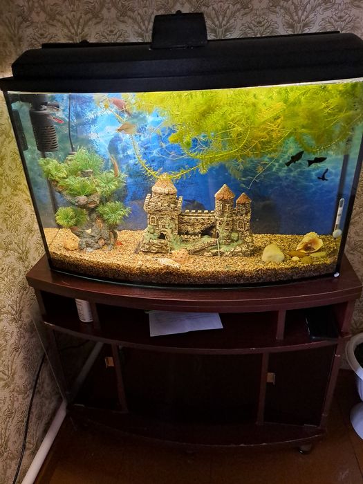 Рыбки с аквариумом