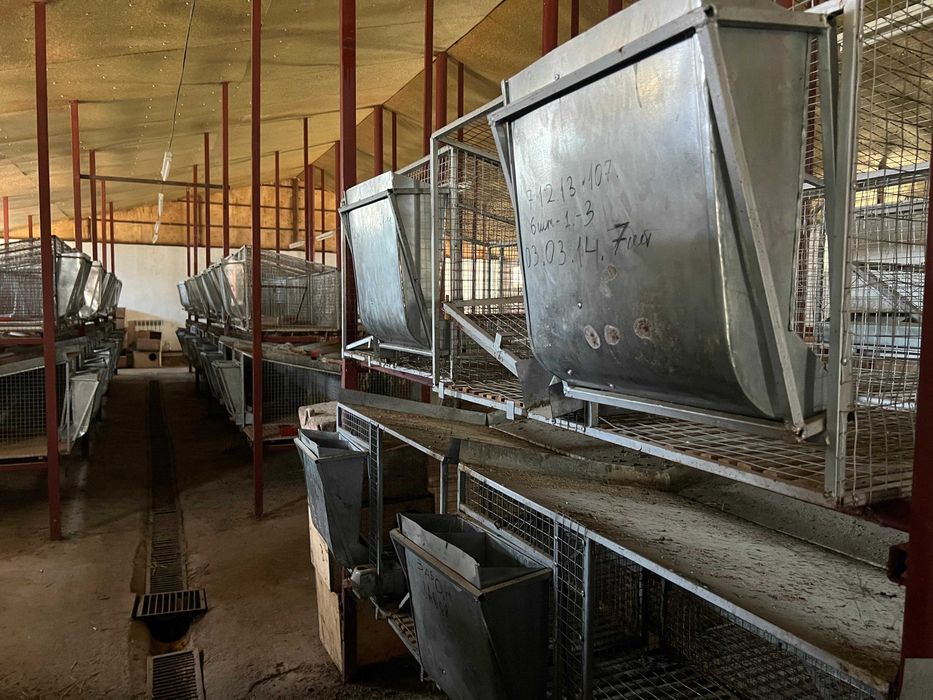 клетки для кроликов