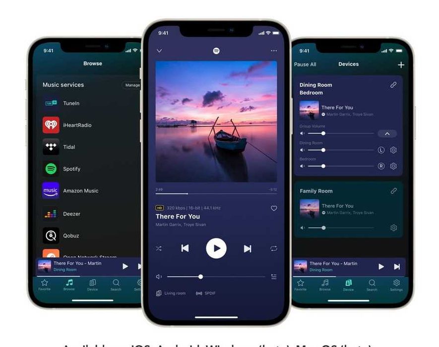 Сетевой аудио проигрыватель WiiM PRO