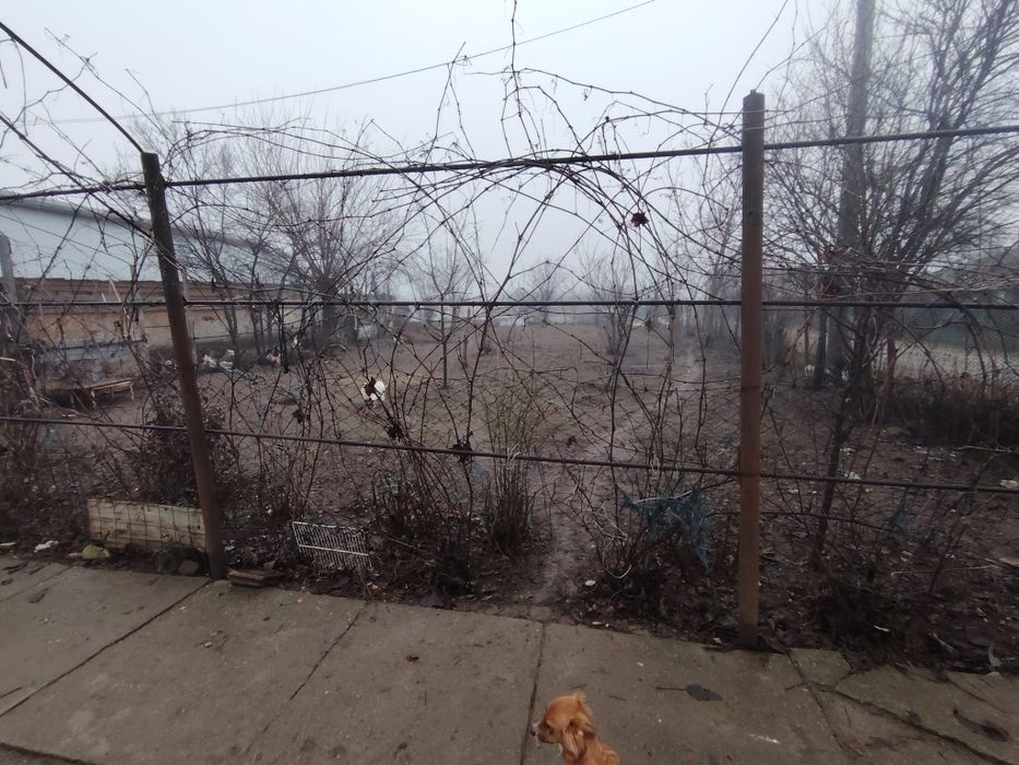 Casă de vânzare Letca Noua