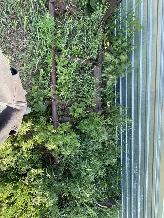 Волокушка , движка на мтз