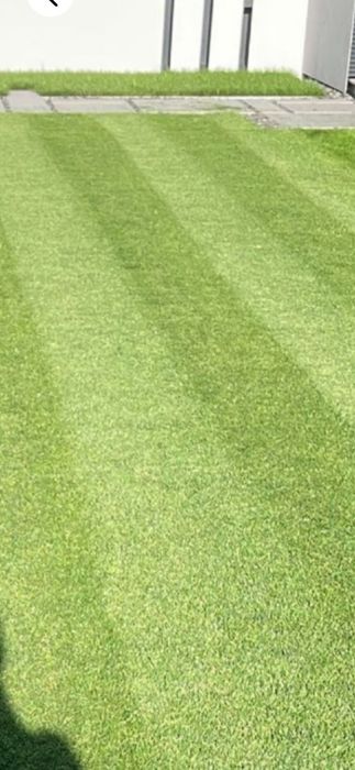 Masina tuns gazon Qualcast cu scarificator