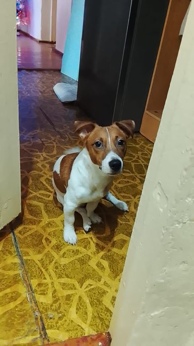 Мальчик ищет девочку