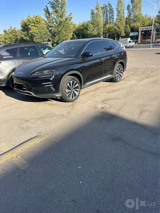 Byd champion 605 tali  2024