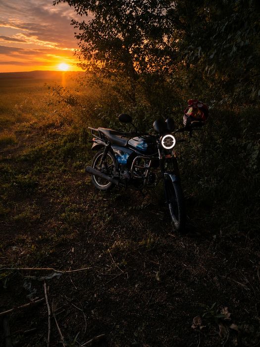 Альфа ниньзя спорт 125