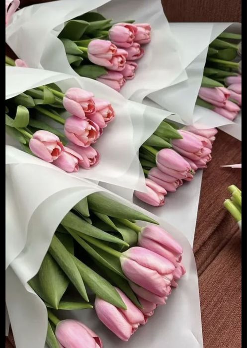 Тюльпаны на 8 марта