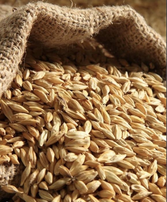 Тартылған арпа, бидай, жүгері сатылады.