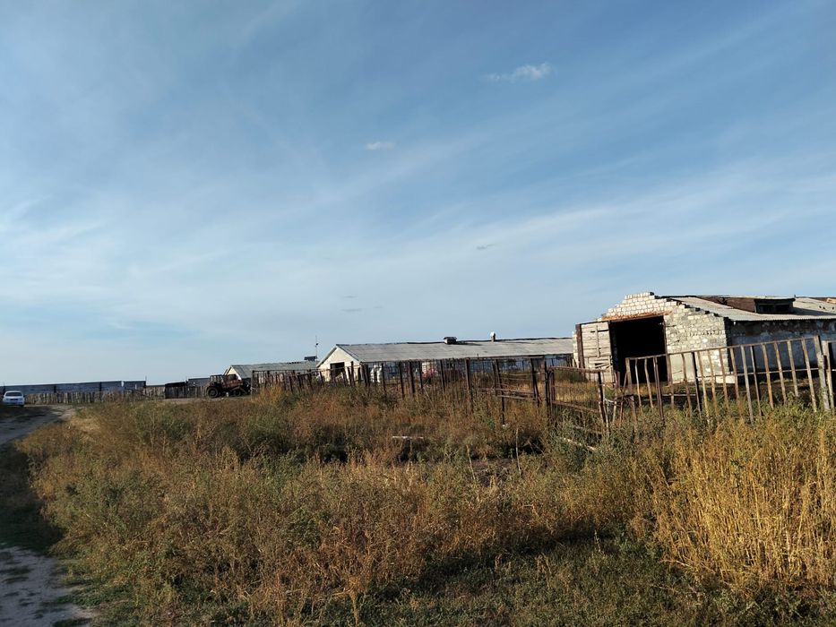 Продам ферму с.Никитинка, Мендыкаринский район.