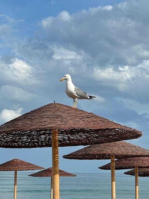 Umbrela de plaja impletita din nuiele 2,4m diametru artsilva.ro