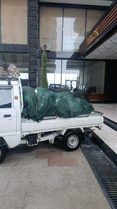 вывоз мусор строй мусор