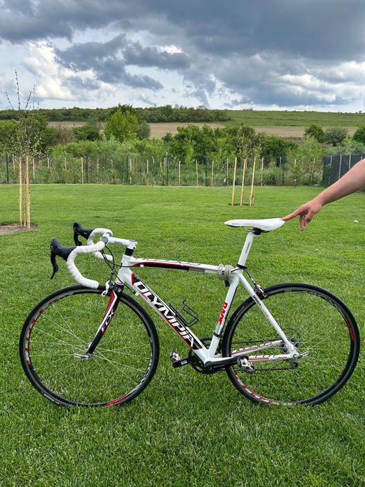 Cursieră Olympia Speedy Race AL7005DB, Campagnolo Veloce, Carbon, 54