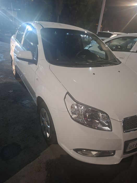 Некция 3 2019й краска тоза