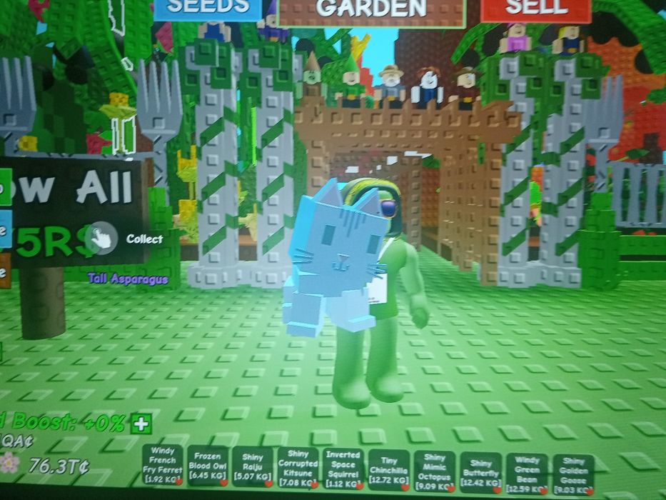 Петы Гров гарден