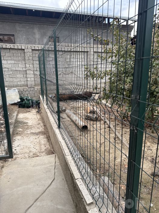 Yevra zabor sotiladi sitoykalari bilan
