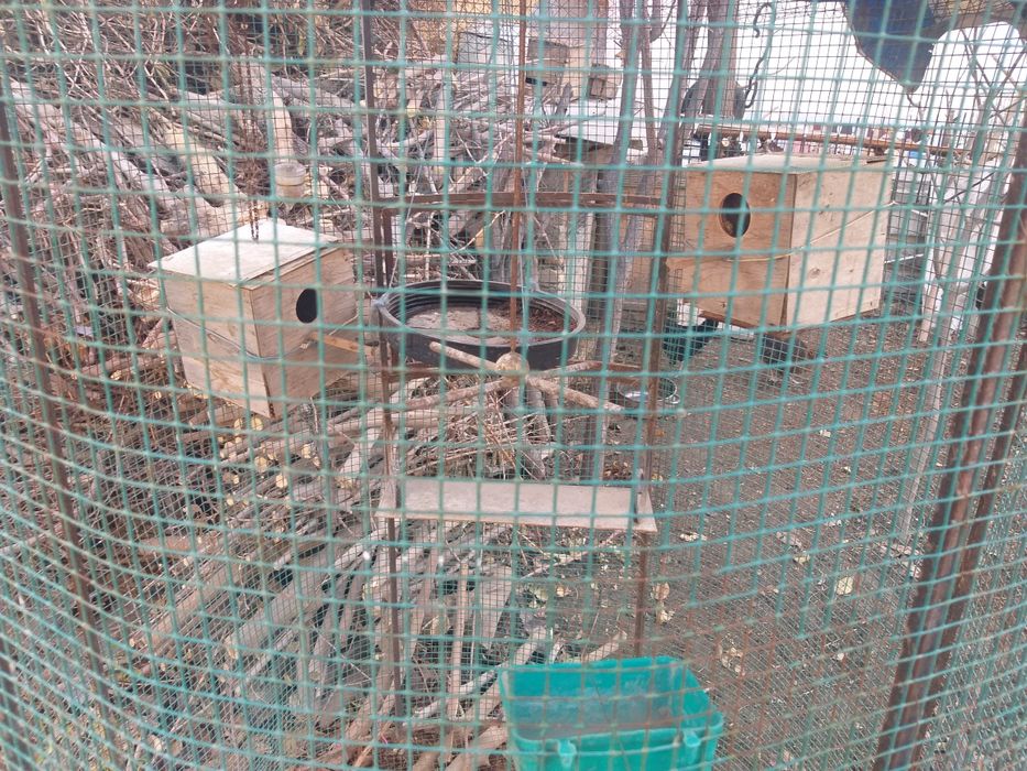 Валер для попугаев