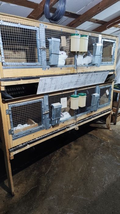 Калифорнийски зайци