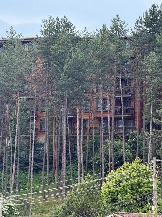 Продава се Едностаен апартамент в Велинград - 42 кв.м за 1258 €/кв.м - Снимка #3