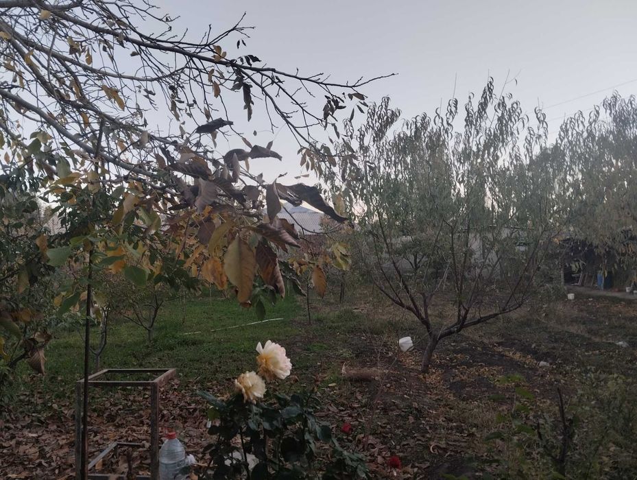 Ер сотилади 5 сотыхли ховли учун жой