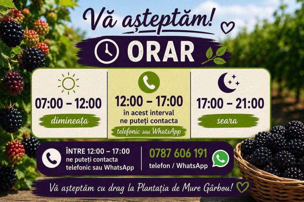 Plantația de Mure Bio Gârbou