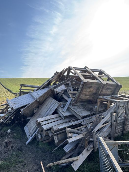 Vand lemn brad pentru constructii