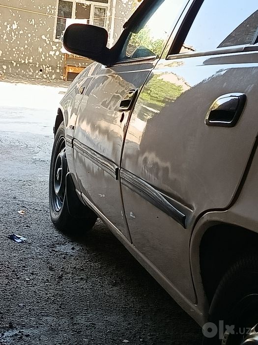 Nexia1 sosn tramblor 2005
