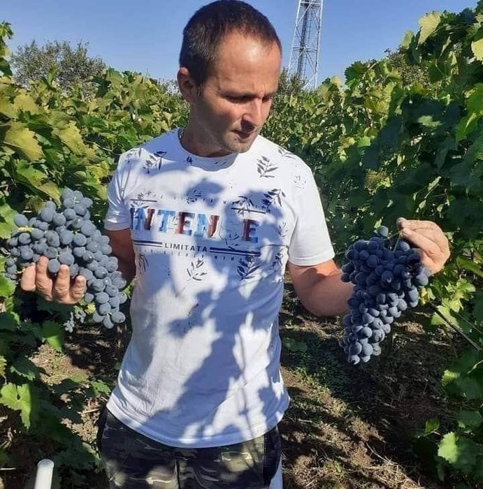 Vand struguri de vin