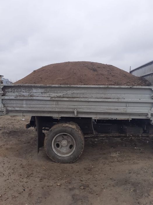 Көң бар шеңгелдің топырағы бар