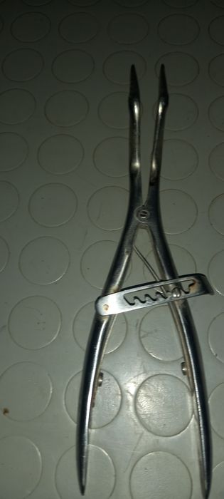 Ветеринарна медицина