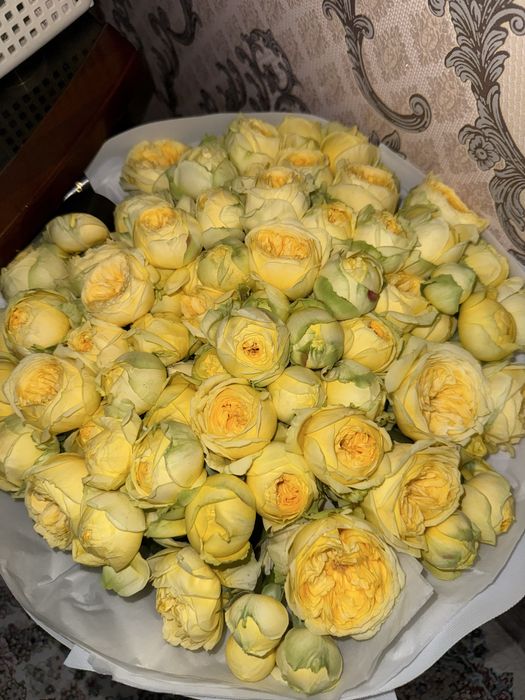 Пионовидные розы